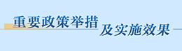 重要政策舉措及實(shí)施效果