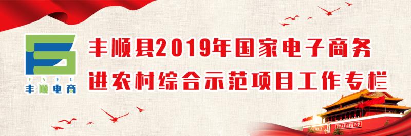 豐順縣國(guó)家級(jí)電子商務(wù)進(jìn)農(nóng)村綜合示