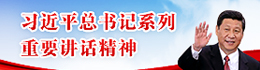 習(xí)近平總書(shū)記系列重要講話(huà)精神