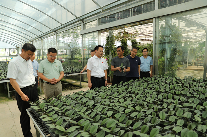 縣委書記曾永祥率隊(duì)到贛州于都縣禾豐蘭花小鎮(zhèn)考察.JPG