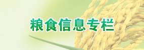 糧食信息專(zhuān)欄