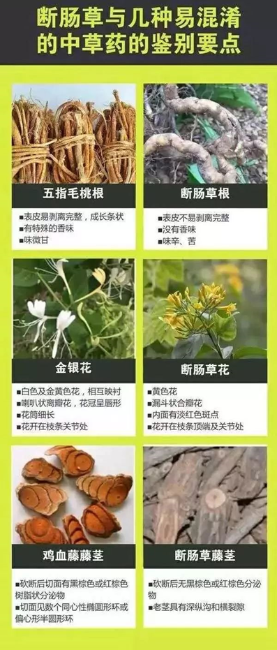 自動轉存圖片