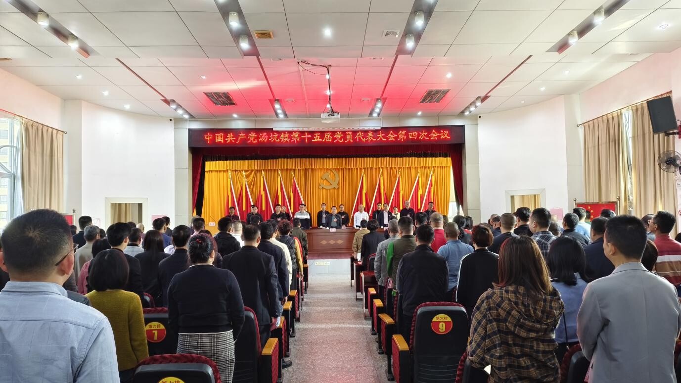 中共湯坑鎮(zhèn)第十五屆第四次會議勝利召開.docx_1