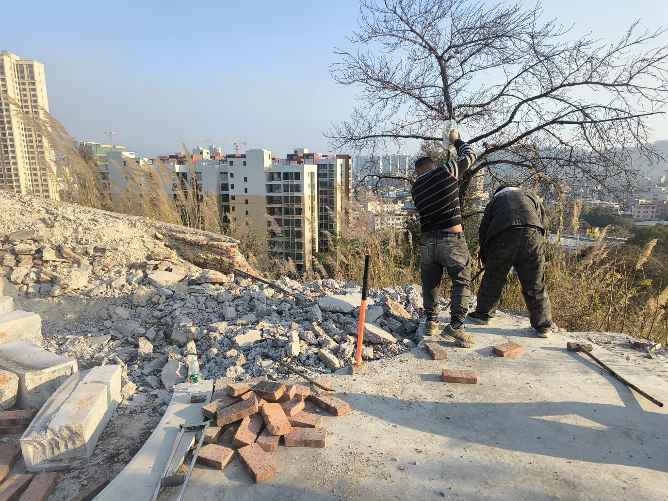 20250117湯坑鎮(zhèn)：依法拆除違建墳墓，文明殯改樹立新風.docx_1