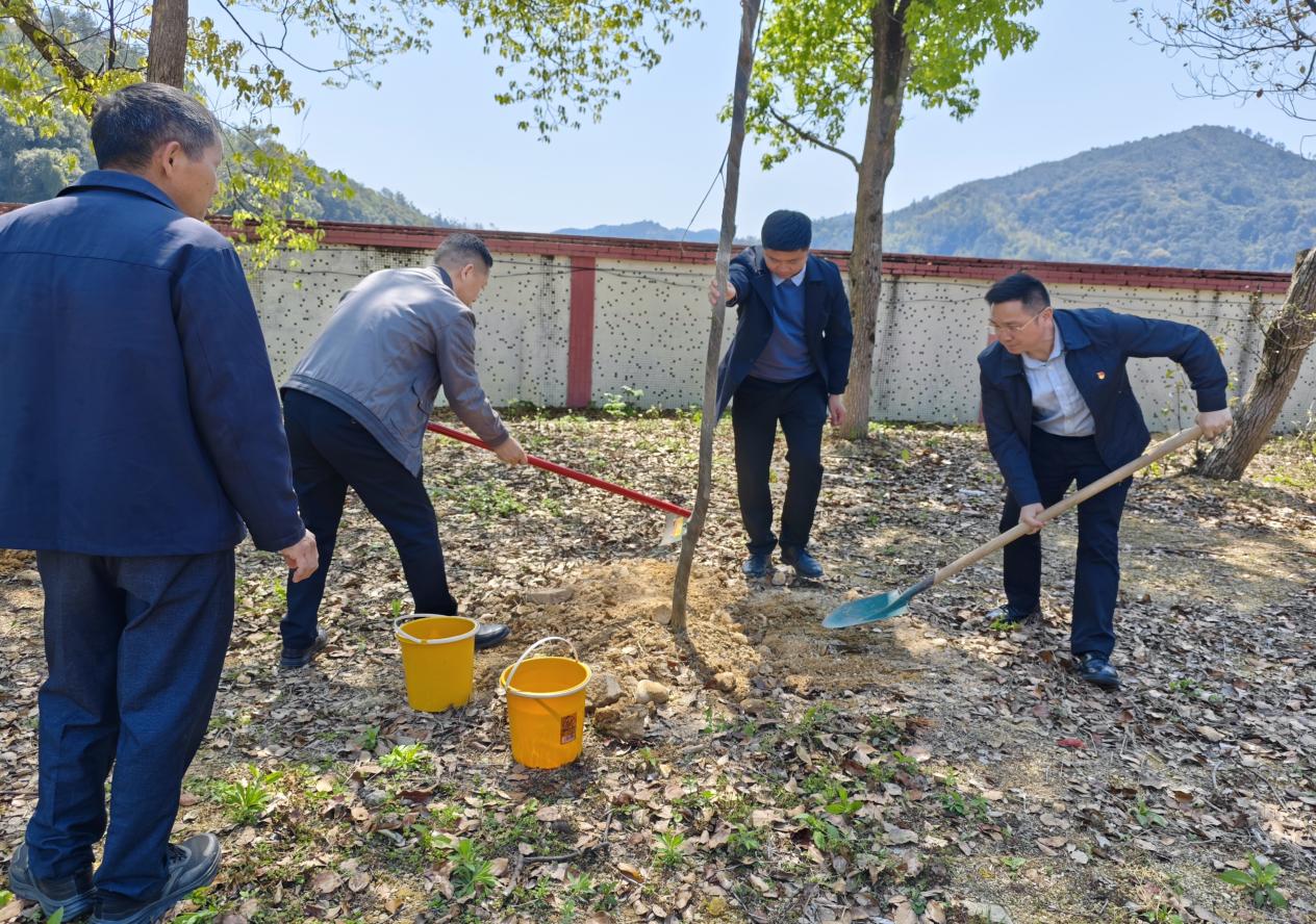20250324圖一.jpg
