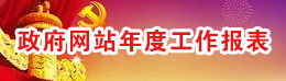 政府網(wǎng)站年度工作報(bào)表