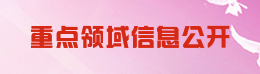 重點(diǎn)領(lǐng)域信息公開(kāi)